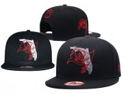 Wholesale Cheap NFL Tampa Bay Buccaneers Stitched Snapback Hats 041