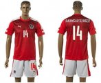 Wholesale Cheap Austria #14 Baumgartlinger Red Home Soccer Country Jersey