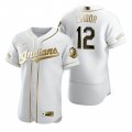 Wholesale Cheap Cleveland Indians #12 Francisco Lindor White Nike Men's Authentic Golden Edition MLB Jersey